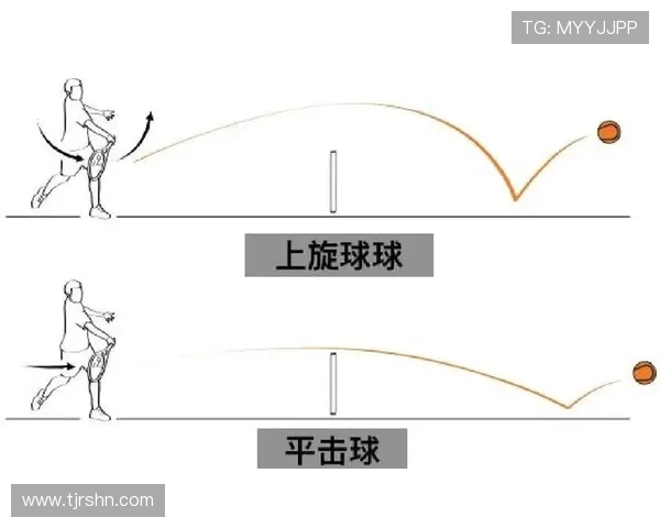 从零起步掌握网球技巧与战术全解析助你成为场上高手