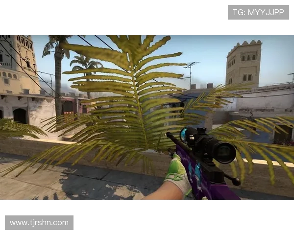 CSGO战术分析：深入探讨LNG在比赛中的盯防策略与执行效果