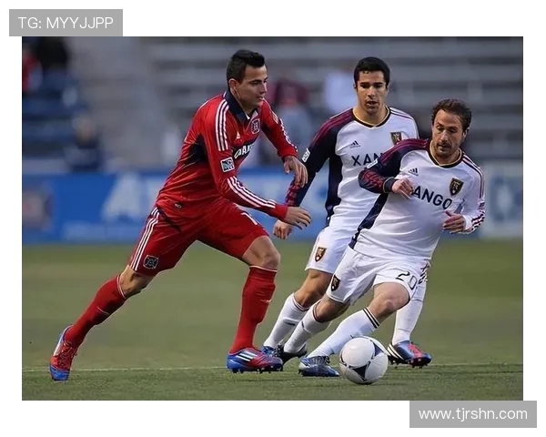 多伦多与火焰的激烈对决谁能在冰上称王称霸