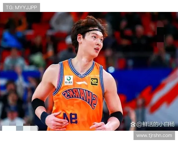 王哲林在CBA赛场的崛起之路与未来发展潜力分析 王哲林在CBA赛场的崛起之路与未来发展潜力分析
