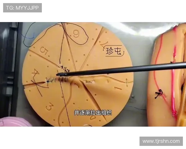 广州篮球队中路突破战术解析与实战应用探讨